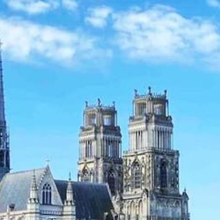 Superbe Appartement En Coeur De Ville 올리언스 외부 사진