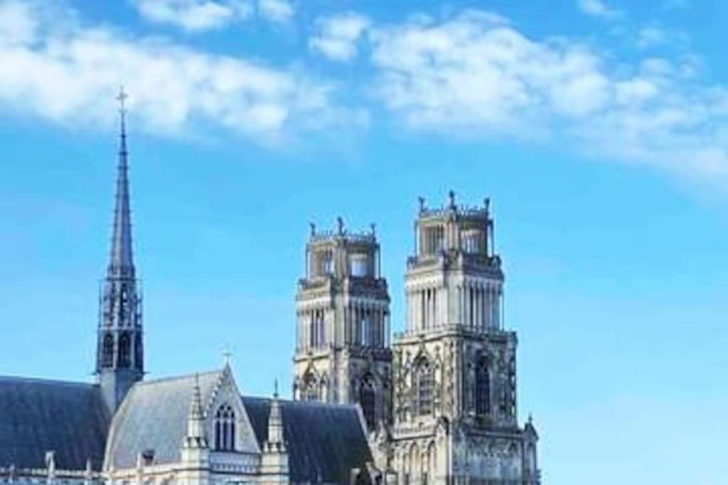 Superbe Appartement En Coeur De Ville 올리언스 외부 사진